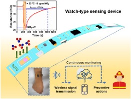 www.sciencedirect.com