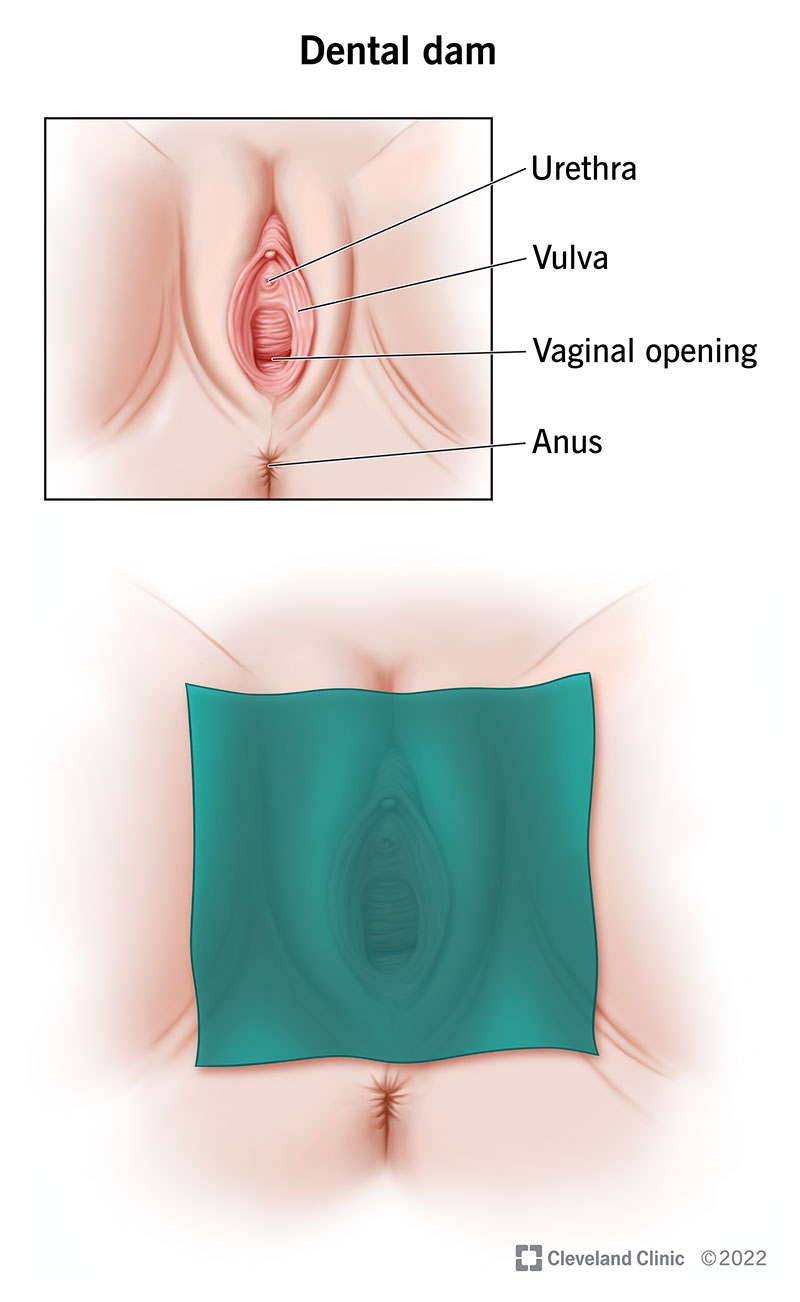 my.clevelandclinic.org