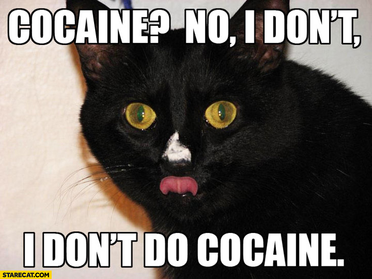 cocaine-no-i-dont-do-cocaine-cat-with-white-nose.jpg